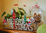 2025-11-13/c99b686b-112e-492e-9332-8a672ad6e421