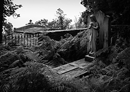 2025-11-14/40e8ef4e-e062-472d-bab7-1e0c8e93f412