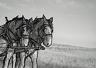 2025-11-15/67b2a61f-39af-4dc5-a531-95bb557b4f48