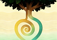 2025-11-21/cc2a8d0f-3c77-448f-b8db-dac0626d3377