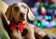 2025-11-22/d45b067a-06de-4756-816a-c2db0824498c