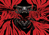 collection-preview-3