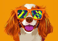 2025-11-26/65ea3336-5cad-42b6-855f-3d6a0787a30c