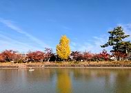 2025-11-28/fefe5cb6-d68c-40d7-ba8d-f45db69f680d