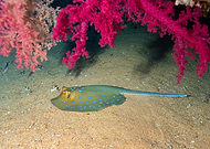 2025-11-30/7cd80916-ce7c-46be-85c6-e4945a78d5f2