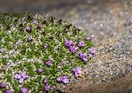 2025-11-30/93b1044b-08ca-433f-acc5-958747c90e40