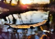 2025-11-30/9be4bf0a-5f9d-49b6-af84-3c5e735683a5