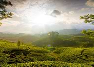 2025-11-30/fdddf892-7c4b-492e-a7c0-66c1d4449f89