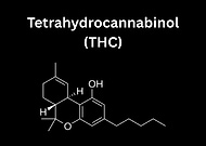 2025-12-04/66214405-4ee1-4339-8140-fc872edd6baa