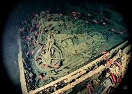 2025-12-06/69684c52-f1ee-4c7b-909b-75f1419cb554