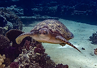 2025-12-06/9f020ad2-ae13-4dac-ad29-372be6408dc7