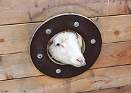 2025-12-06/be129961-5d85-41ca-a3cd-2d3624b98b33