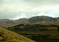 2025-12-08/215c923c-1e19-4212-9763-ce62ec3a3822