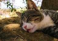 2025-12-08/3997a355-7be9-4eed-92b5-d5ce17c3c832