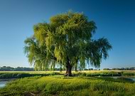 2025-12-08/7f45e4ee-6b0c-41c7-b39d-3e7bce577438