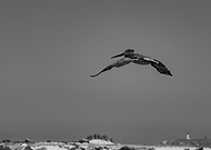 2025-12-09/8e1de573-5eed-4bbb-bf32-69324b5db195