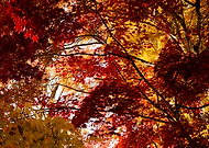 2025-12-11/9b0c966a-5556-4c3d-aa3b-a2815f2bfaa3