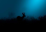 2025-12-12/d29171ca-f306-4305-ac0e-84b5688d7dbf