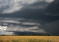 2025-12-12/dbc71096-9544-4743-9058-87ad80329a7a