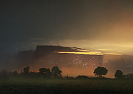 2025-12-14/047f06f8-32e7-4e44-98c0-33ad4b582f49