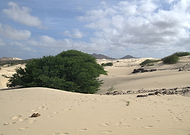 2025-12-16/2cec5648-609b-4ae5-b580-ad0e8f08a92b