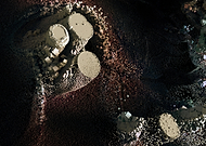 2025-12-16/c80d5c8e-5671-4937-bb44-2323191e69ec