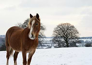 2025-12-18/03348875-87c7-4989-9f29-7c997809290b