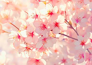 2025-12-18/2e0c21ad-44f3-4d12-8ee5-dd5f2ed8ceff