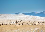 2025-12-19/98c488c5-8d72-436d-8b23-d2347b89b090