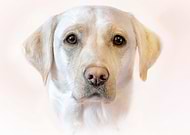 2025-12-27/41ad1069-8c9b-4fc6-835a-977435de421e