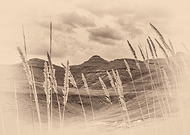 2025-12-29/249c8a7e-75b3-4872-bfd0-159800ef68fd