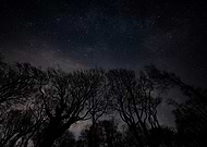 2025-12-30/58995661-ed0c-45af-9564-409d53ec44df