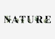 2025-12-31/a1a2cfc3-d82d-4fc3-9d87-812056aa8757