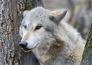 2026-01-01/2a8b424c-9092-4b4d-968e-02170b190dc4