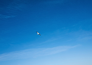 2026-01-02/0cbdcf0f-7c4d-4610-af21-f6dfcf0a72f0