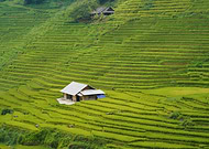 2026-01-06/b5a7172b-a656-4dd0-8a9e-63fef456a861