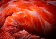 2026-01-08/2d2c3f85-c048-4af4-977f-0b035a2f0878