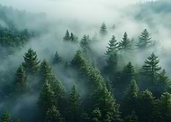 2026-01-09/ea803373-afc3-4ed9-b20c-20897e8b5b0e