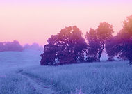 2026-01-12/533785ed-de50-4a0c-9877-48d32e30e6b4