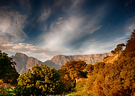 2026-01-12/bade7f04-cd43-41eb-877e-20f1956c9f6a