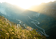 2026-01-13/3614aa02-d67d-483b-b35b-0fe0ebd003eb