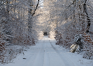 2026-01-13/92f96d36-68c7-44c2-866a-7a8cc167cab3