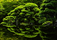 2026-01-13/d0000b87-f59b-40fc-be86-f7f2356f10ff