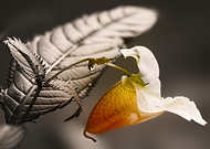 2026-01-15/993a0a59-2153-4740-a69e-98e905f5e750