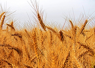 2026-01-15/fddadf57-05b2-4ea2-8719-56c7d1d22cc0