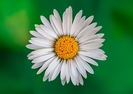 2026-01-17/bc9f1a9b-d199-4ad9-9815-f0ecd2aec57c