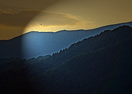 2026-01-19/0c2d5f9d-eb3a-442c-8252-1cee921e081e