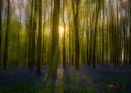 2026-01-19/7a7b0407-0531-4f84-b344-e9918ee8a724