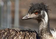 2026-01-19/a737188d-5285-4526-8198-e53a63f640ab