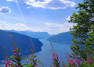 2026-01-20/160a9d69-1163-4ad4-8fa3-79f044beac7c